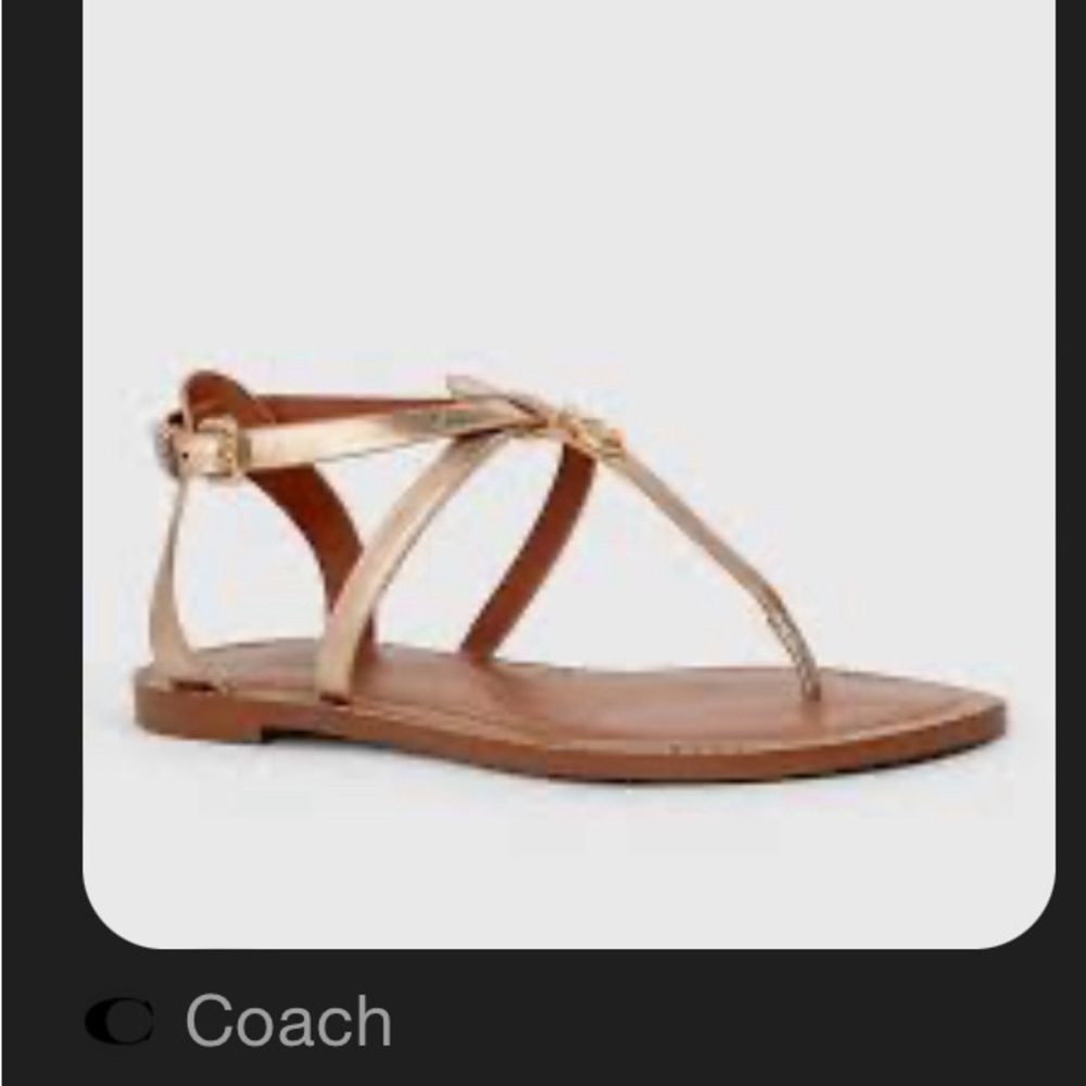 Coach Women's Metallic Gold Sandals